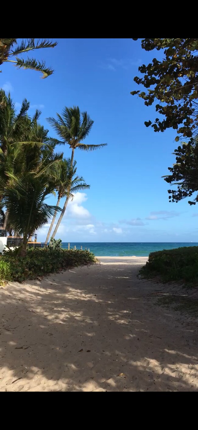 2841 N Ocean Blvd Unit 403, Fort Lauderdale, FL 33308 Condo for Rent