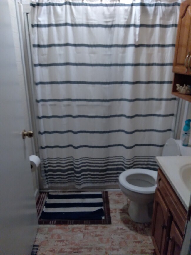 The bathroom - 309 Watts St