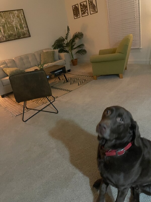 Foto del edificio - 1015 Heathercroft Cir