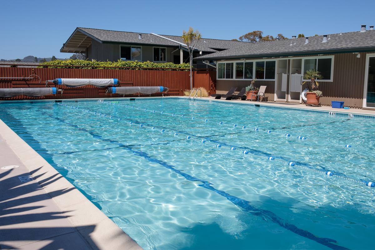 5 Andrew Dr Unit 51, Tiburon, CA 94920 Condo for Rent in Tiburon, CA