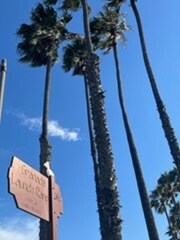 Primary Photo - 19 Granada Ave
