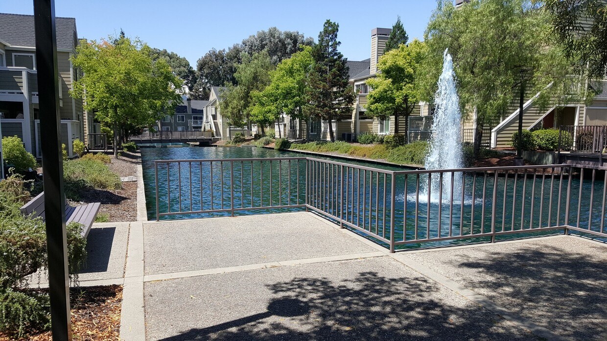 225 Reflections Dr Unit 16, San Ramon, CA 94583 Condo for Rent in San
