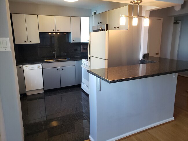 Kitchen - 253 E Delaware Pl
