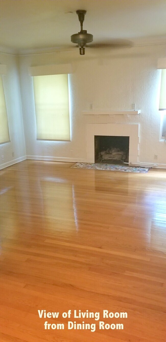 Massive Living Room with Gorgeous Hardwood Floors and Fireplace - 326 E Mistletoe Ave