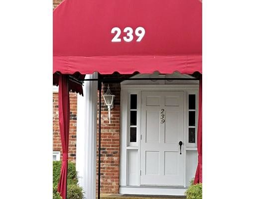 Primary Photo - 239 Main St
