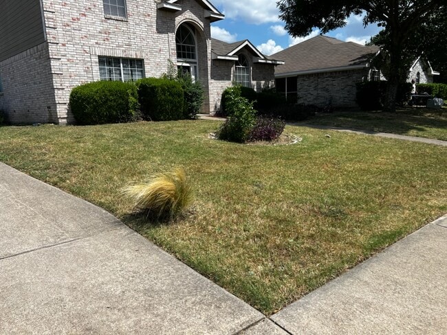 Building Photo - Desoto