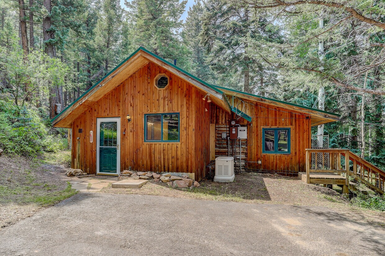 Log Cabin view from driveway, east side of cabin - 15 Ranch Trl