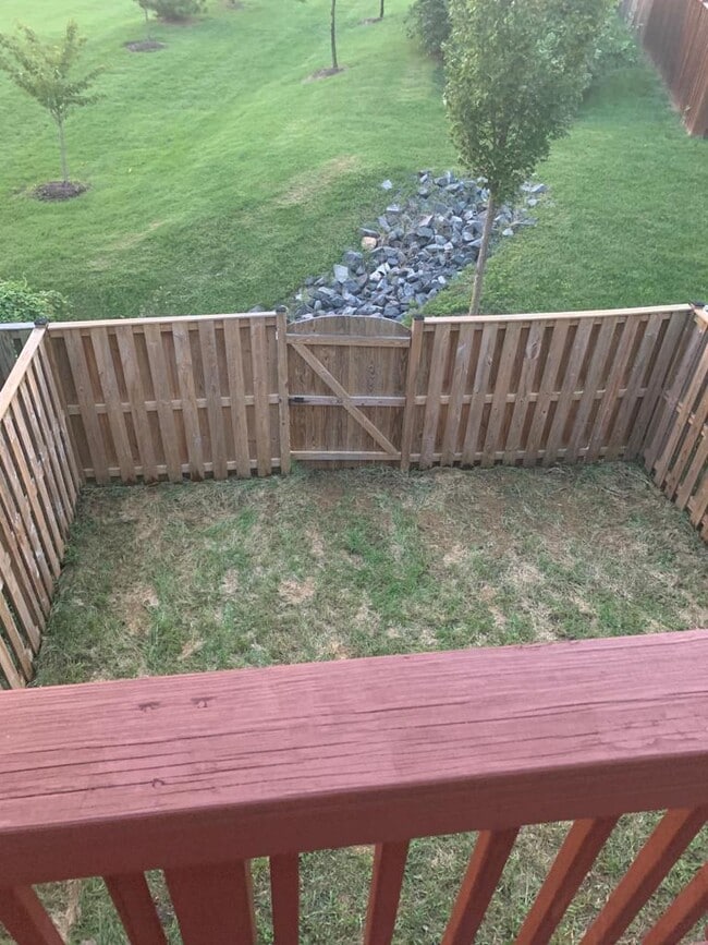 Backyard - 1127 Carinoso Cir