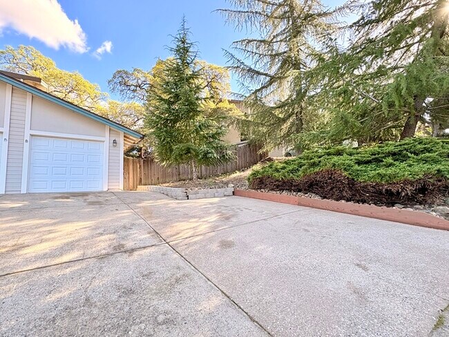 Foto del edificio - Beautiful Well Kept 3 bedroom for Rent - Folsom