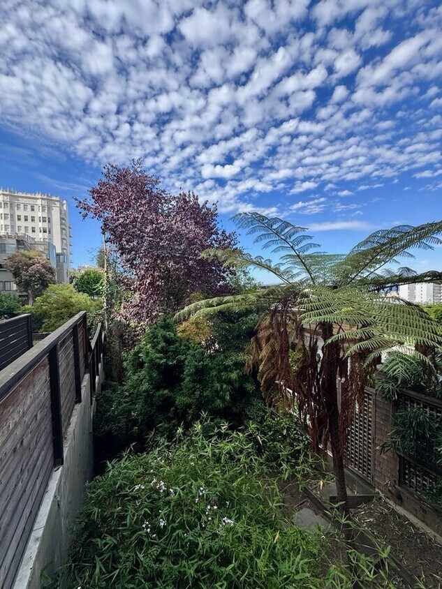 Foto principal - 1054 Filbert St