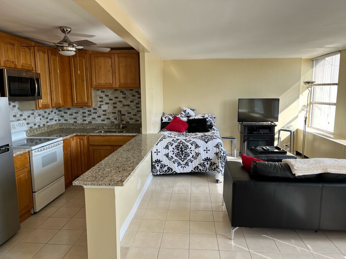 Huge studio - 350 square feet! - 2626 N Lakeview Ave
