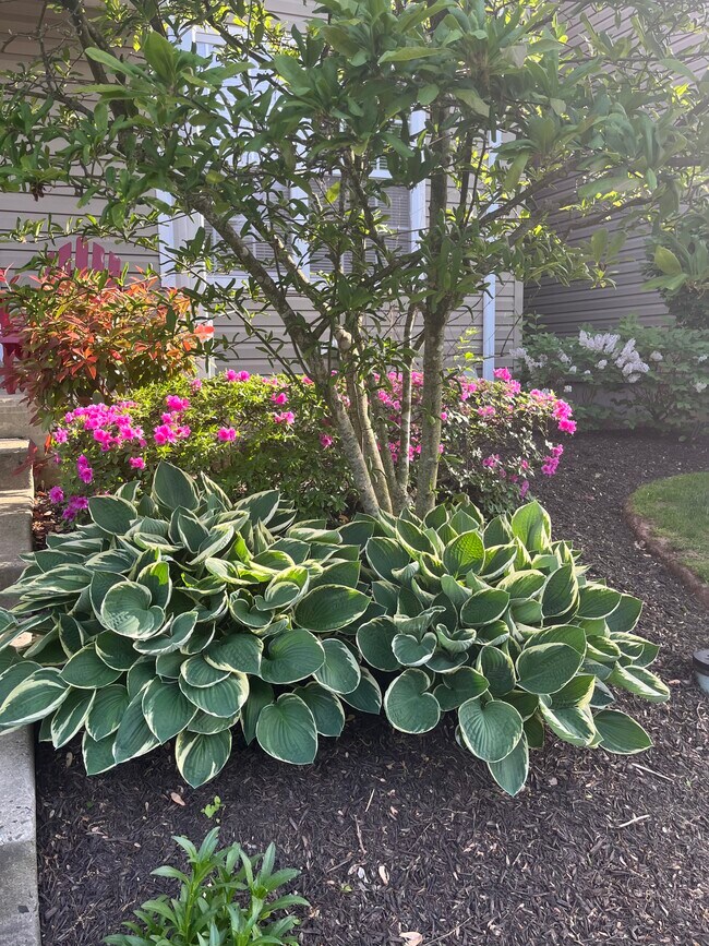 Foto del edificio - 4023 Captain Molly Cir