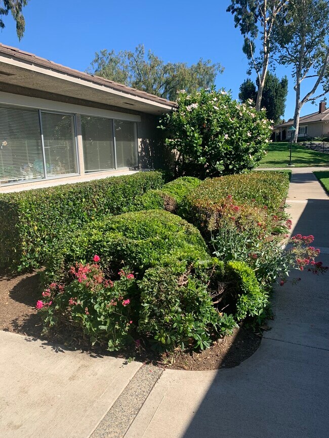 SchingerIMG_4274 - 5146 Maple