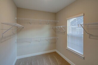 Building Photo - The Allure at Jefferson