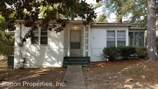 Building Photo - 2 br, 1 bath House - 519 Johnson Ave.