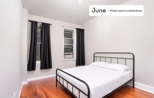 Room in Shared 4 bed/2 bath home in Williamsburg - Room in Shared 4 bed/2 bath home in Williamsburg