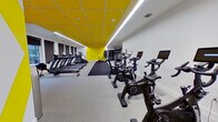 This fitness center is designed with a bold, modern aesthetic, immediately distinguished by its striking yellow acoustic tile ceiling that runs the length of the space, contrasted against crisp white walls. Linear LED lighting fixtures are integrated throughout the ceiling, providing bright, even illumination across all workout zones. A large row of windows along one wall allows natural light to filter in, enhancing the open and energetic atmosphere of the space.

The cardio zone is well-appointed, featuring a lineup of True treadmills, elliptical trainers, and a rowing machine, all positioned along the windowed wall to take advantage of the natural light. Adjacent to this area, a dedicated cycling section houses multiple Peloton-style stationary bikes equipped with individual screens, set on a dark rubberized floor mat.

The strength and functional training area is comprehensively outfitted with a full dumbbell rack, kettlebells, resistance bands, a cable machine, plyometric boxes, and a functional training rig. Floor-to-ceiling mirrors expand this zone visually. Chevron graphic accents on the walls near the entrance add a dynamic, motivational touch, reinforcing the facility's energetic design language throughout.