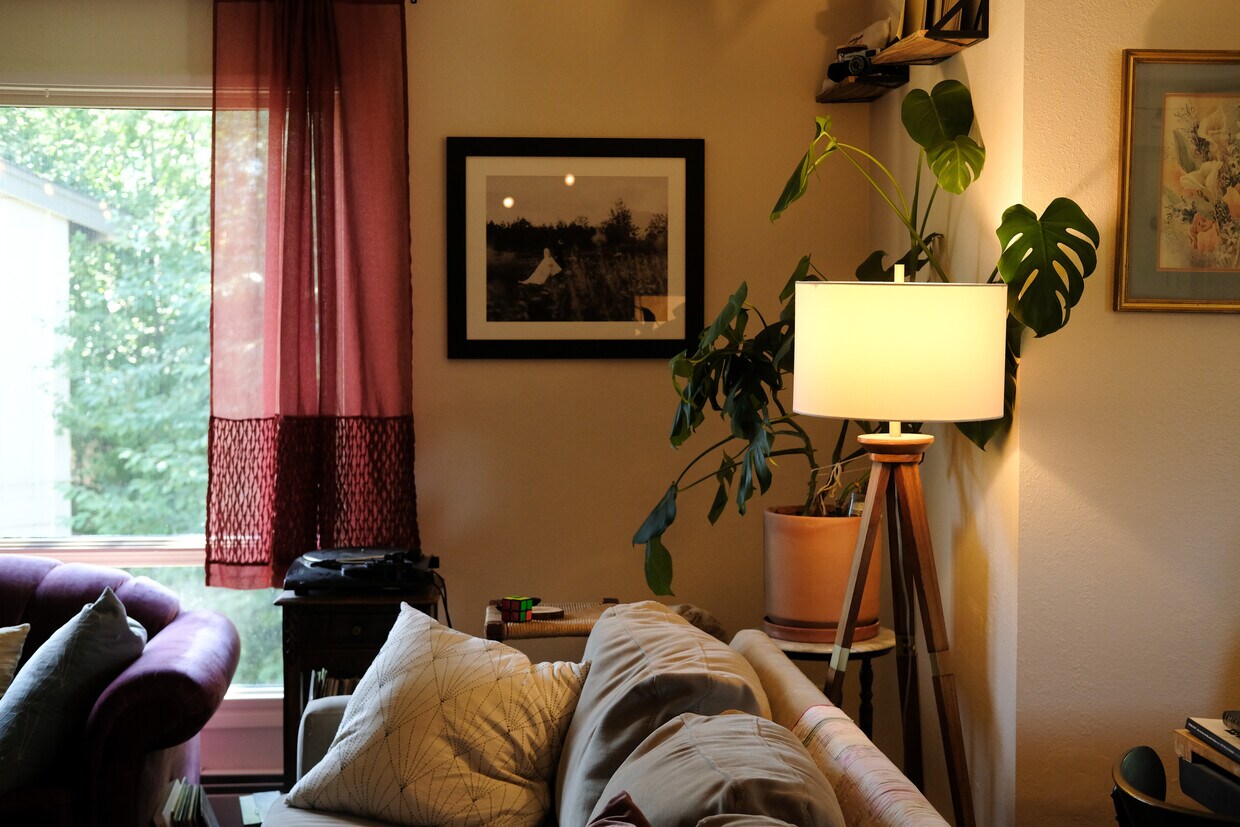 Living Room - 2320 McRae Rd