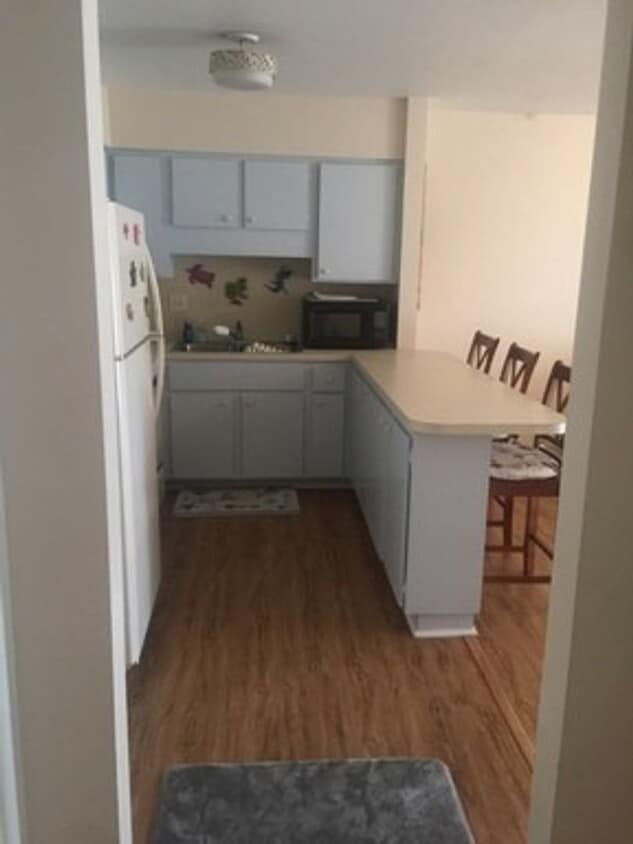 Primary Photo - 1/1 furnished annual in downtown PG
