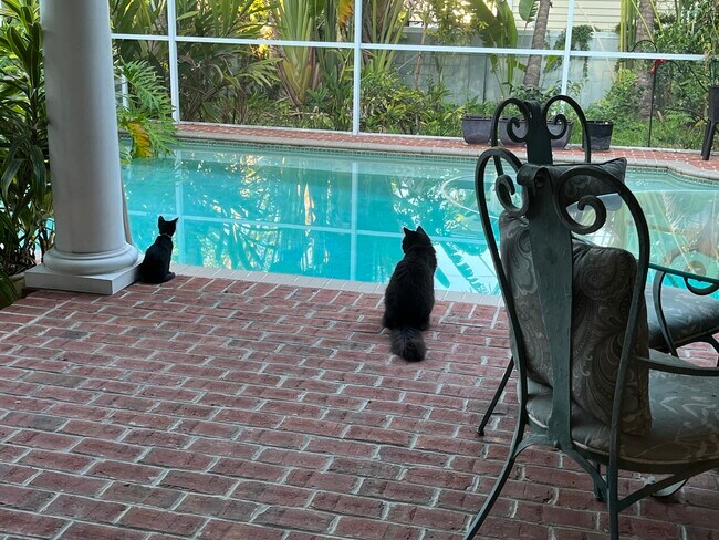 View of pool - 822 S Edison Ave Apartments