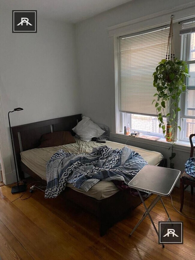 Building Photo - 1 bedroom in Brighton MA 02135