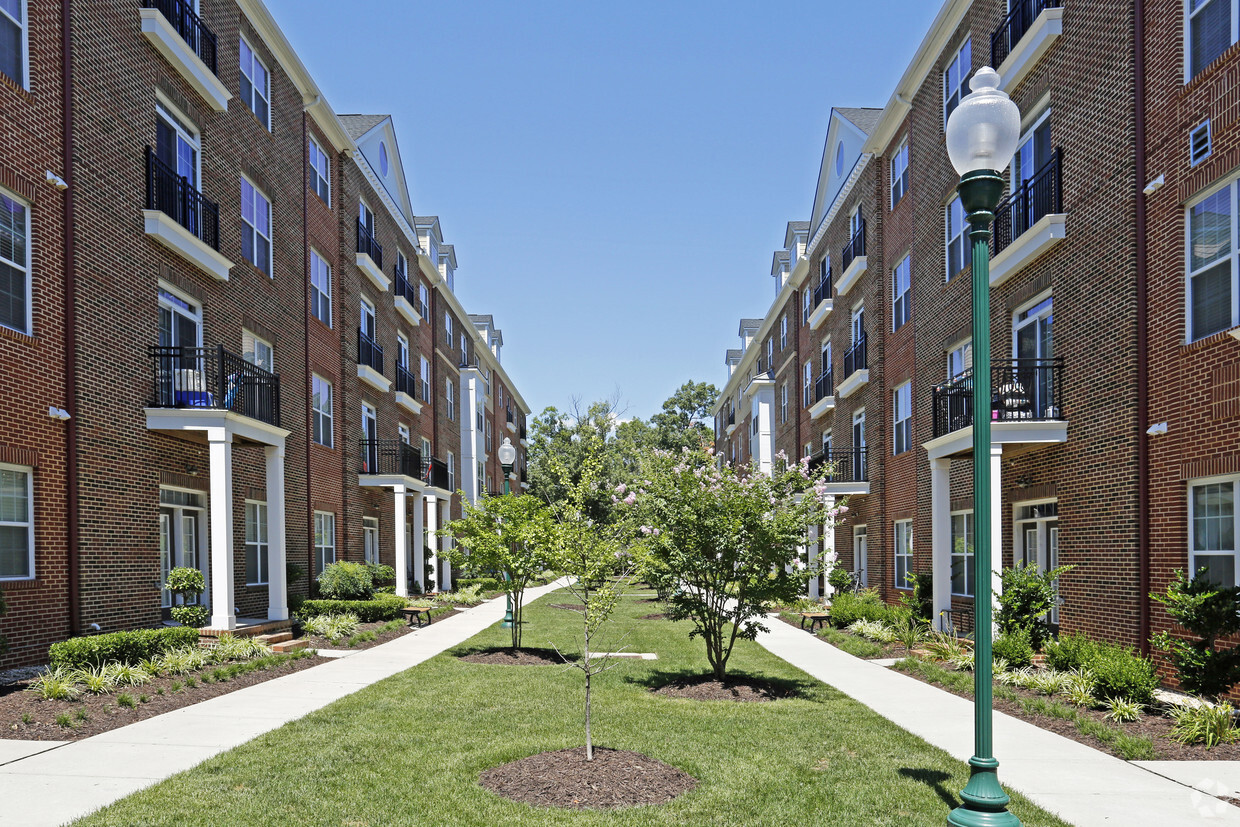 Primary Photo - Belmont at City Center