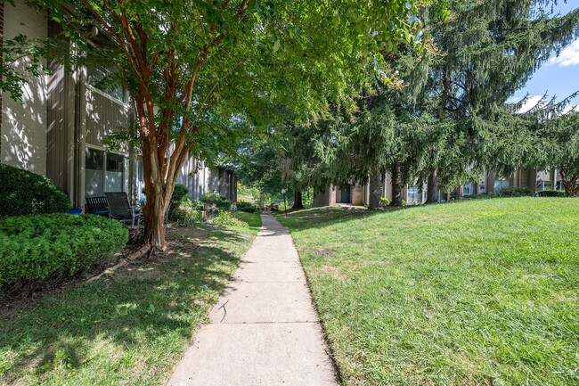 Building Photo - Newly remodeled, bright and beautiful two ...