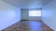 This single-story space presents a straightforward and functional layout designed to accommodate a variety of living arrangements. The main living area is finished with warm-toned wood-style flooring that runs throughout, adding a sense of continuity and ease of maintenance. The smooth, white walls provide a neutral backdrop, offering versatility for any décor style.

A prominent window fitted with vertical blinds serves as the room's primary source of natural light, brightening the interior and creating an airy, open atmosphere. The window allows for adjustable light control, making it easy to tailor the ambiance throughout the day.

The ceiling features a textured popcorn finish, a characteristic detail that adds subtle depth to the overhead surface. The overall layout is open and unobstructed, providing flexibility in how the space can be arranged and utilized.

With its clean lines, neutral color palette, and practical finishes, this space is well-suited for those seeking a blank canvas that is move-in ready and easy to personalize. The combination of natural light, wood-style flooring, and open space creates an inviting and functional environment.