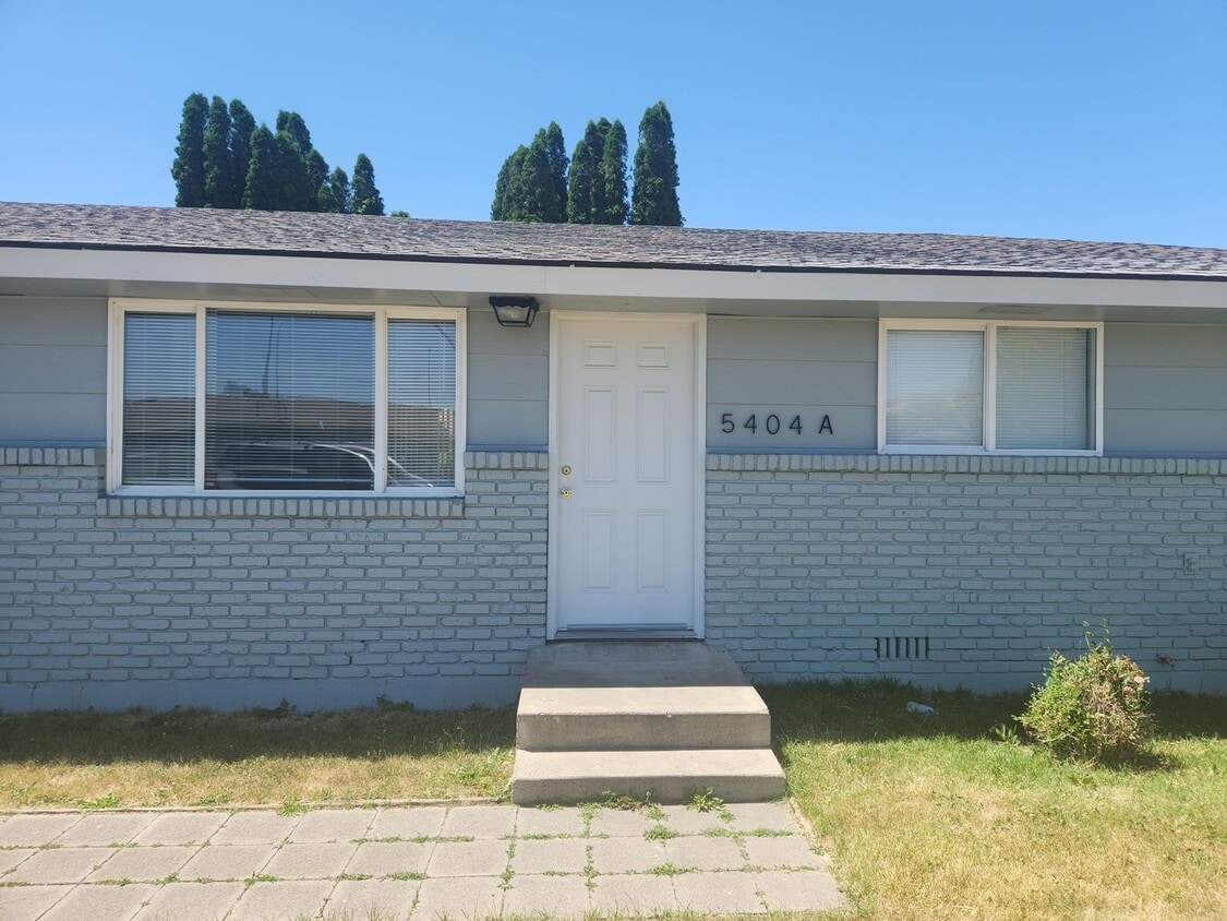 Primary Photo - n5404