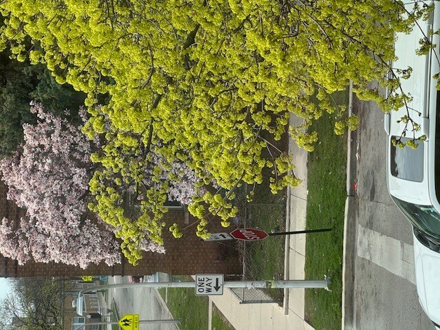 Foto del edificio - 4058 W Dickens Ave