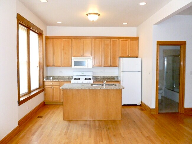 Apartamento 1M en Polk, 1500 W - Cocina/Sala de estar - Harris Point Chicago