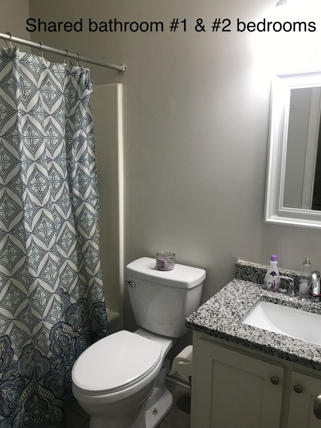 Shared Bathroom - 3250 Stoney Acres Dr NW