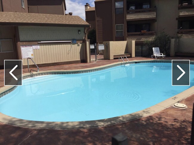 Complex pool - 128 W Rockrimmon Blvd