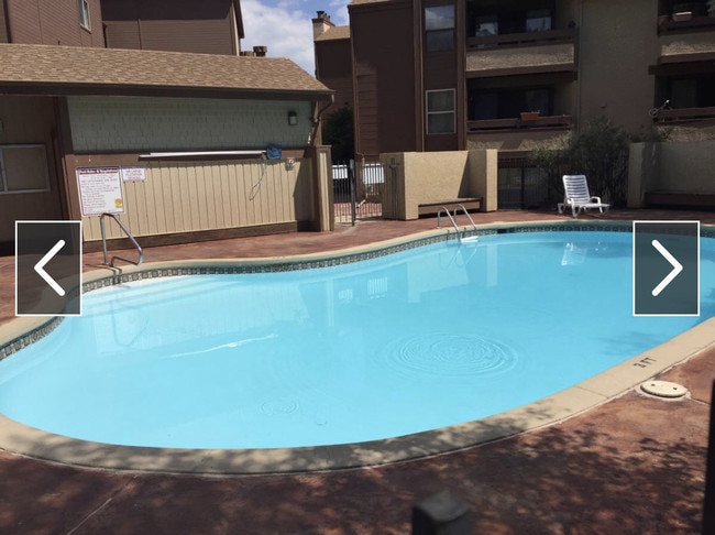 Complex pool - 128 W Rockrimmon Blvd
