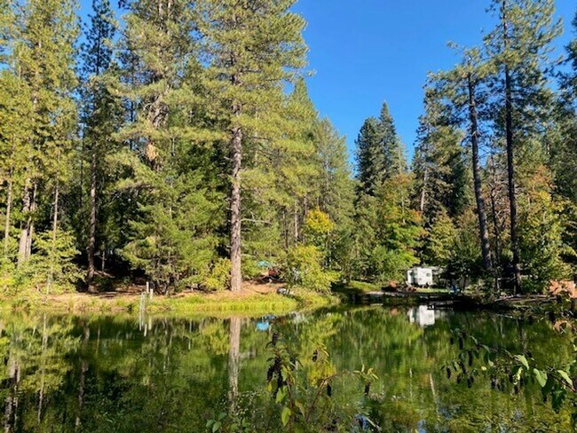 Building Photo - Banner Mountain Peaceful Forested Setting