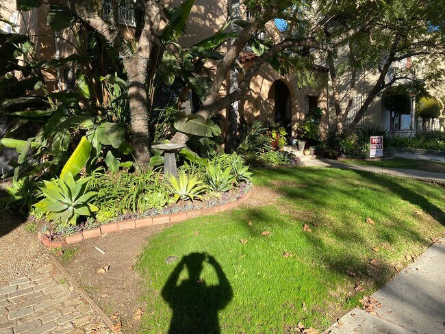 lush garden and trees provide wonderful shade and privacy - 6213 W 6th St
