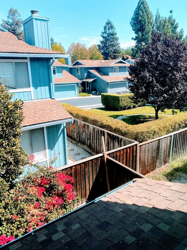 Master bed view - 104 Rose Ln
