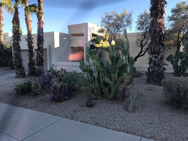 Foto del edificio - 6707 E Kelton Ln