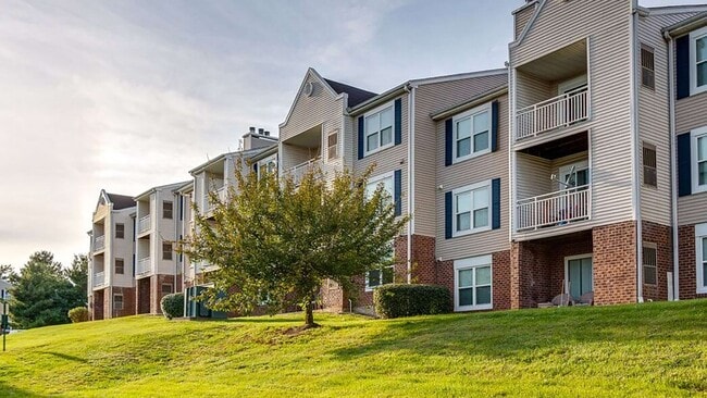 Building Photo - Cortland Manassas