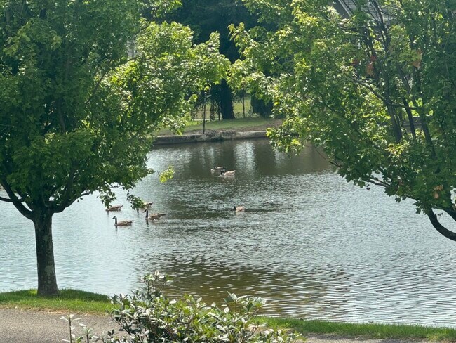 Foto del edificio - 3 Forest Lake Dr