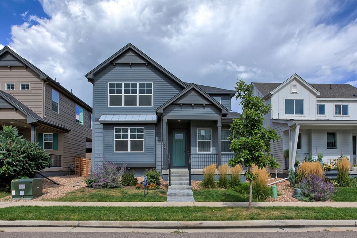 Primary Photo - 4 Bedroom 3 1/2 Bath in Timnath