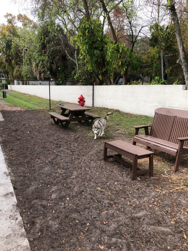 Photo - 115 S Lois Ave Apartment