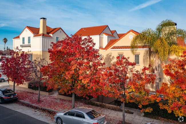 Building Photo - 1705 Palm Ave