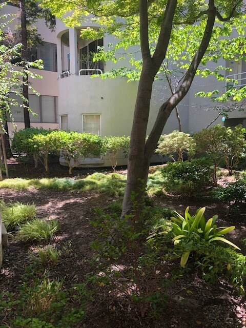 Foto del edificio - 425 Alma St