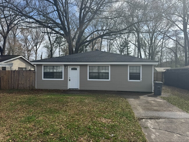 Photo - 16678 S Amite Dr House