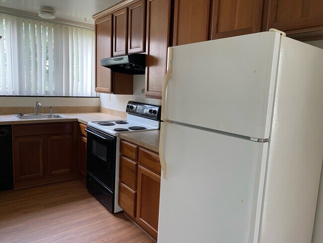 Kitchen - 307 Potter Ave