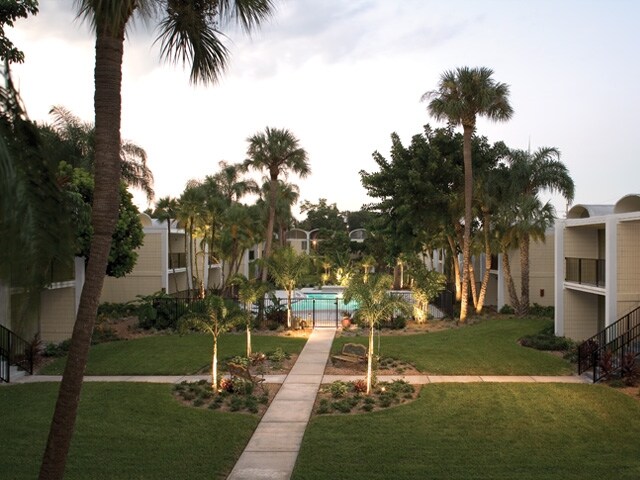 The Oasis Club Apartments Tampa Fl Courtyard And Pool Area The Oasis Club