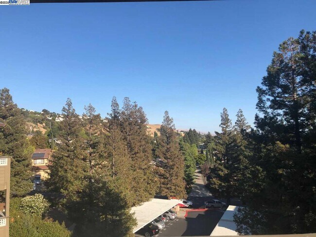 Foto del edificio - 29573 Highgate Dr