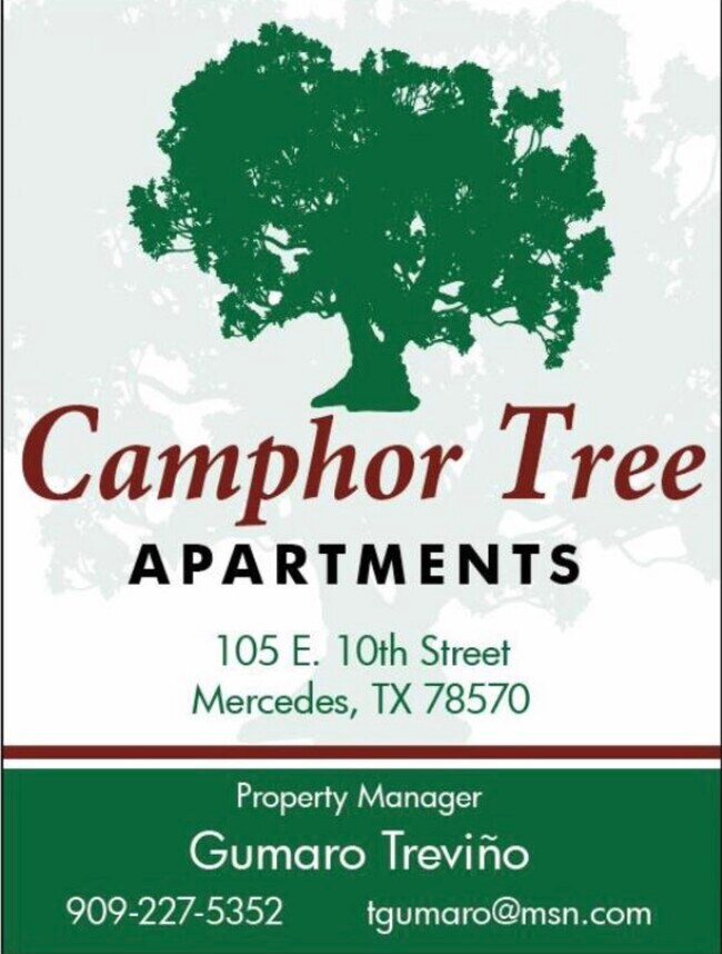 Camphor Tree Apartments - 105 E 10th St