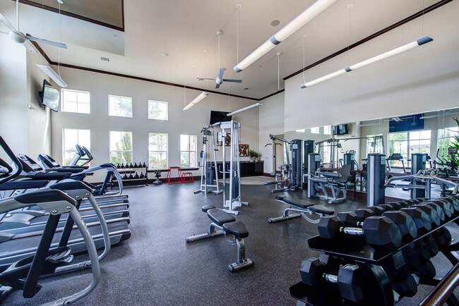 Building Photo - Callista Hill Country Apartments